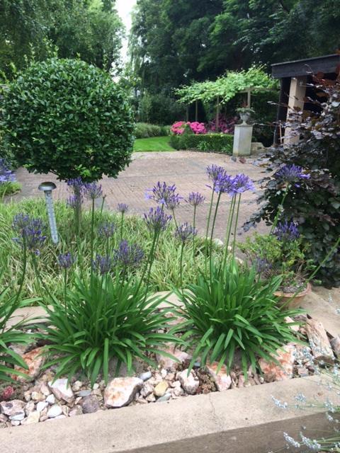Agapanthus Bed And Breakfast Hoogkarspel Экстерьер фото